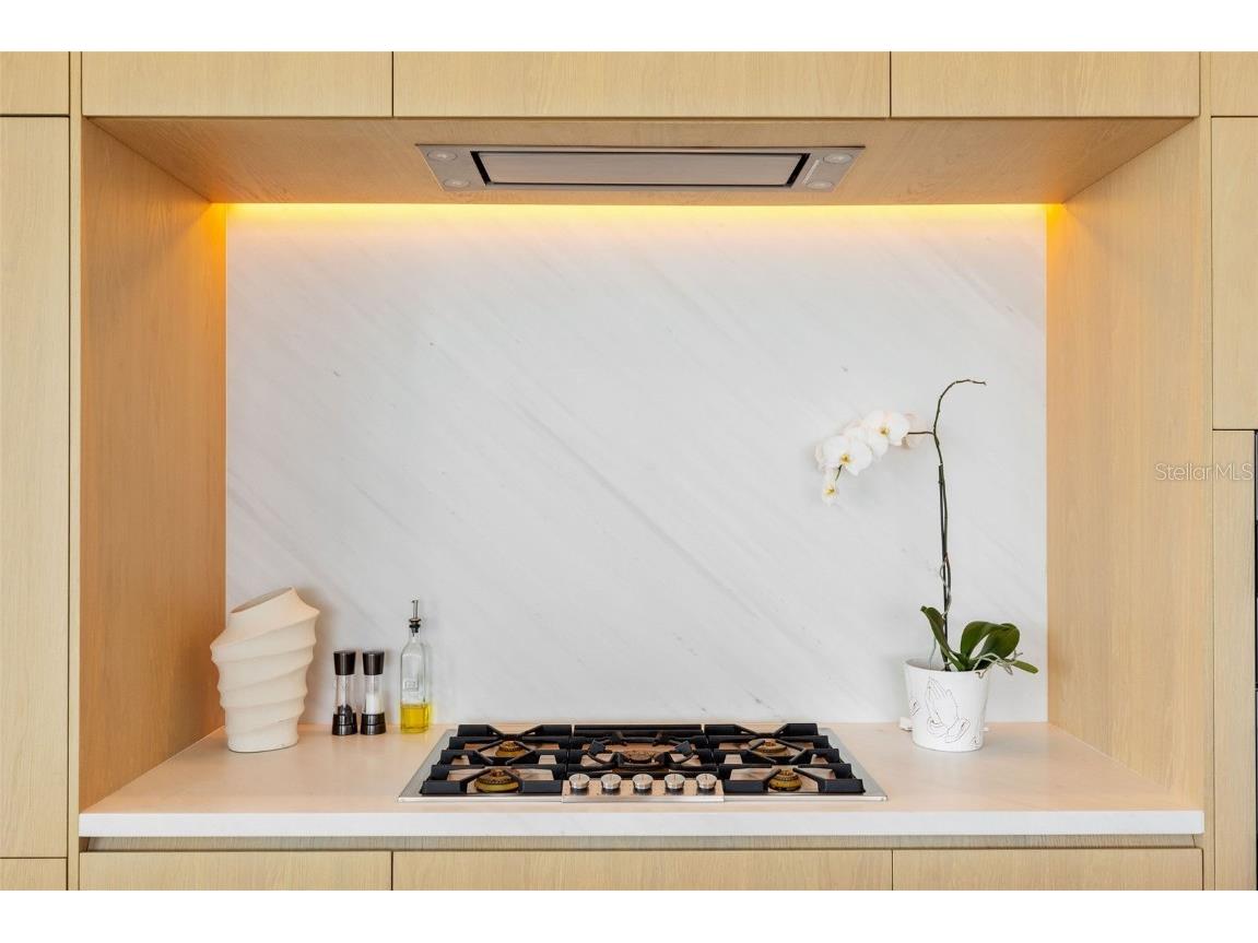 1000 Water Street #1103 Tampa FL 33602 TB8451475 image27