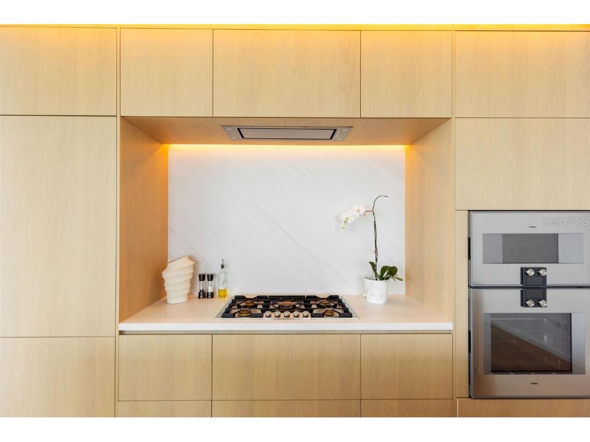 1000 Water Street #1103 Tampa FL 33602 TB8451475 image28