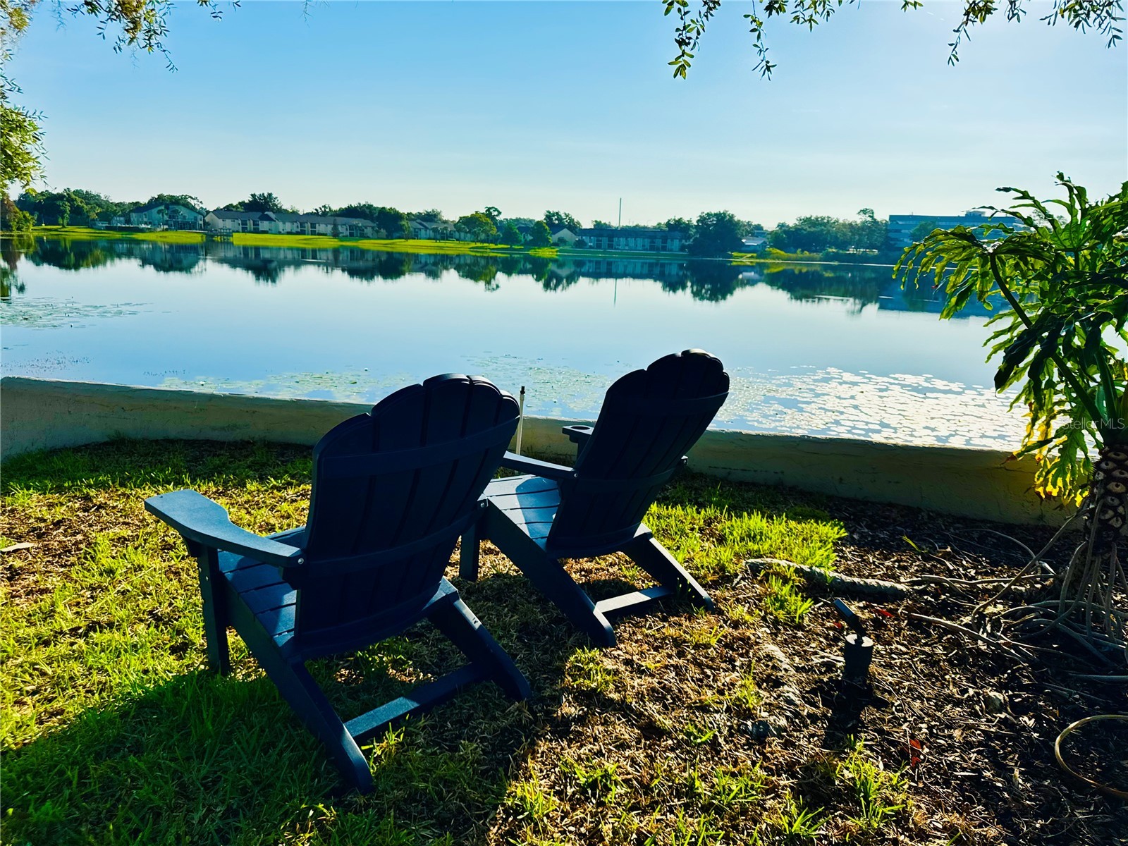 1000 Winderley Place #128 Maitland FL 32751 O6416298 image3