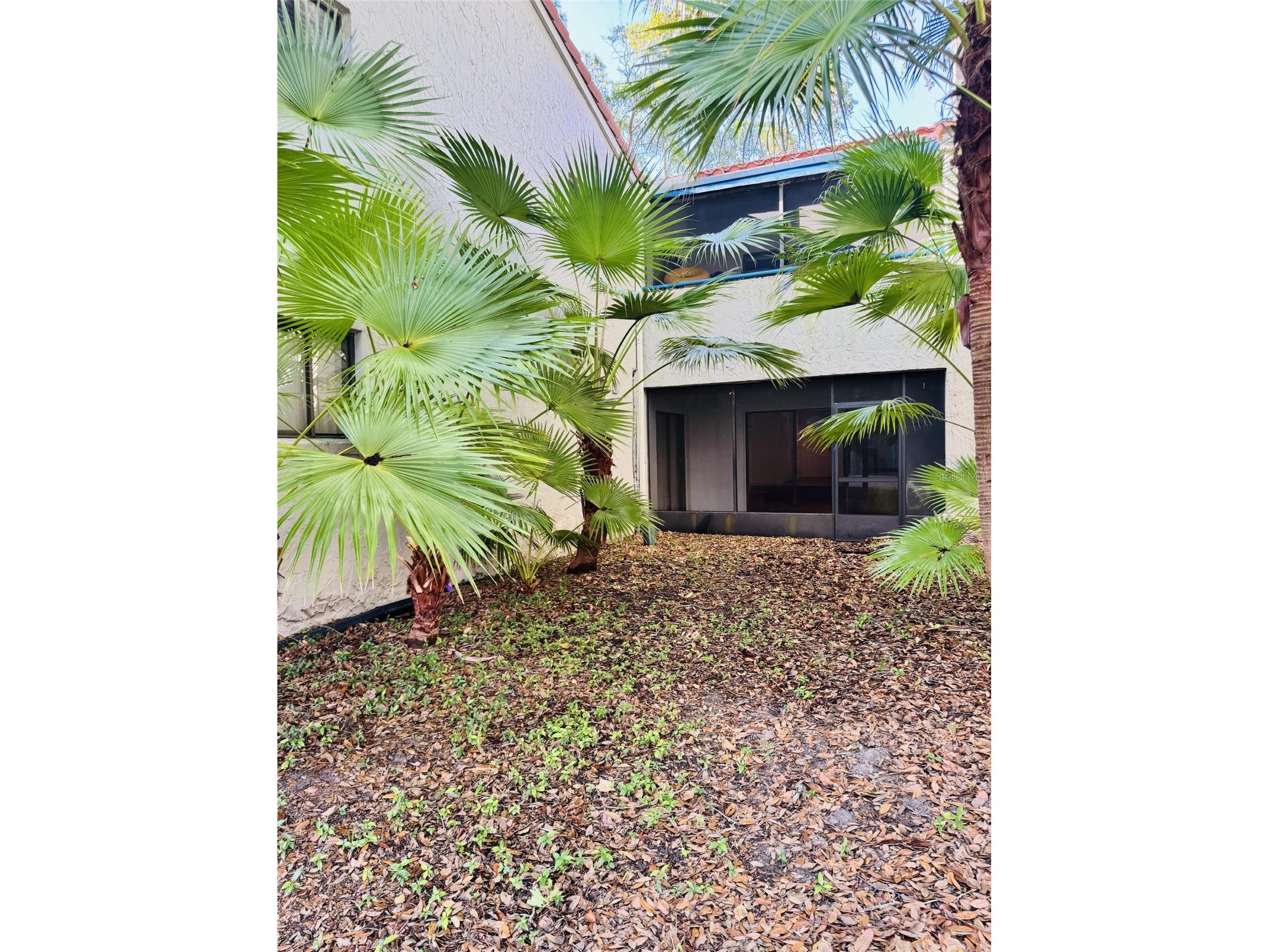1000 Winderley Place #128 Maitland FL 32751 O6416298 image7