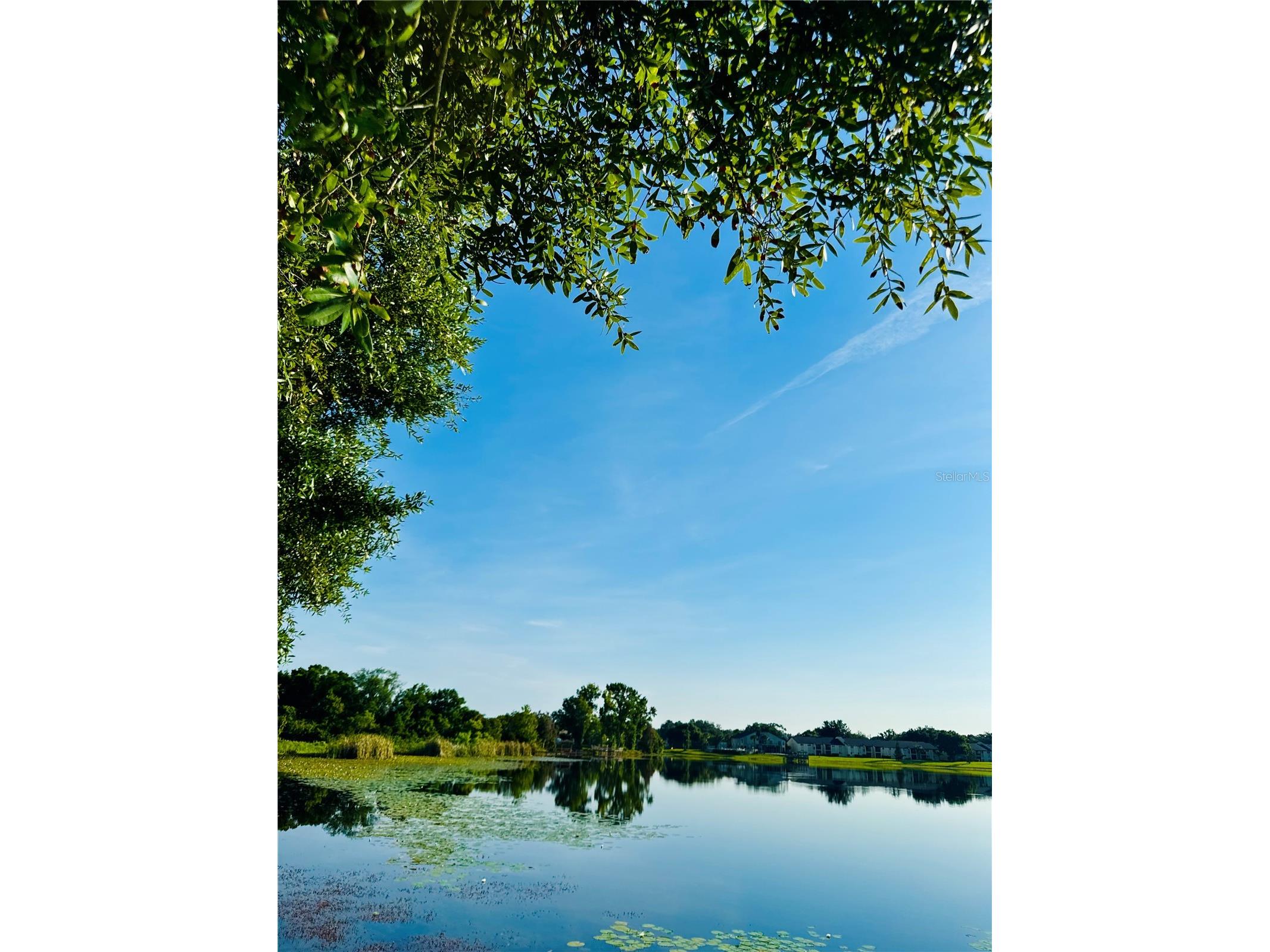 1000 Winderley Place #128 Maitland FL 32751 O6416298 image9