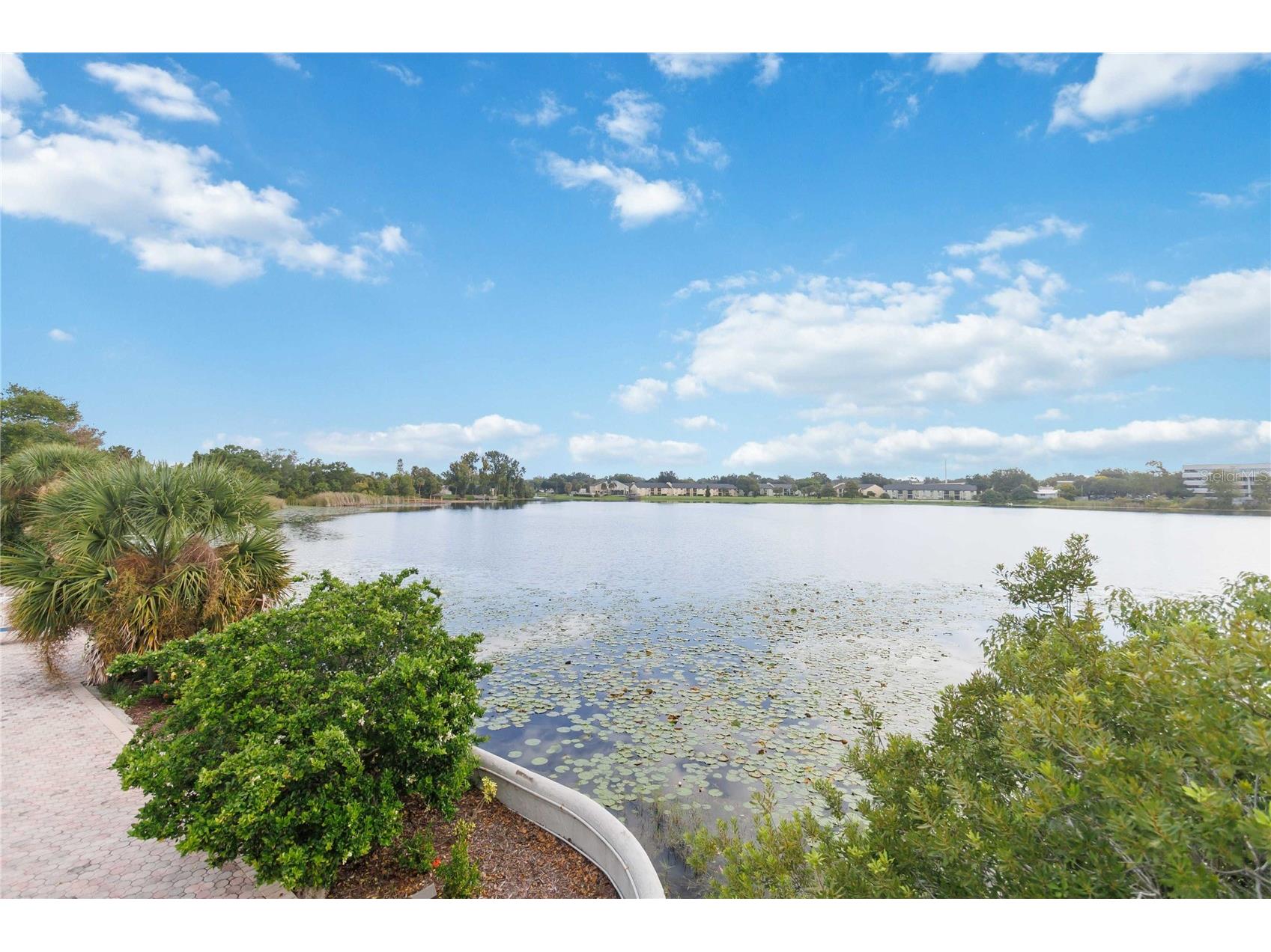 1000 Winderley Place #239 Maitland FL 32751 O6349726 image43