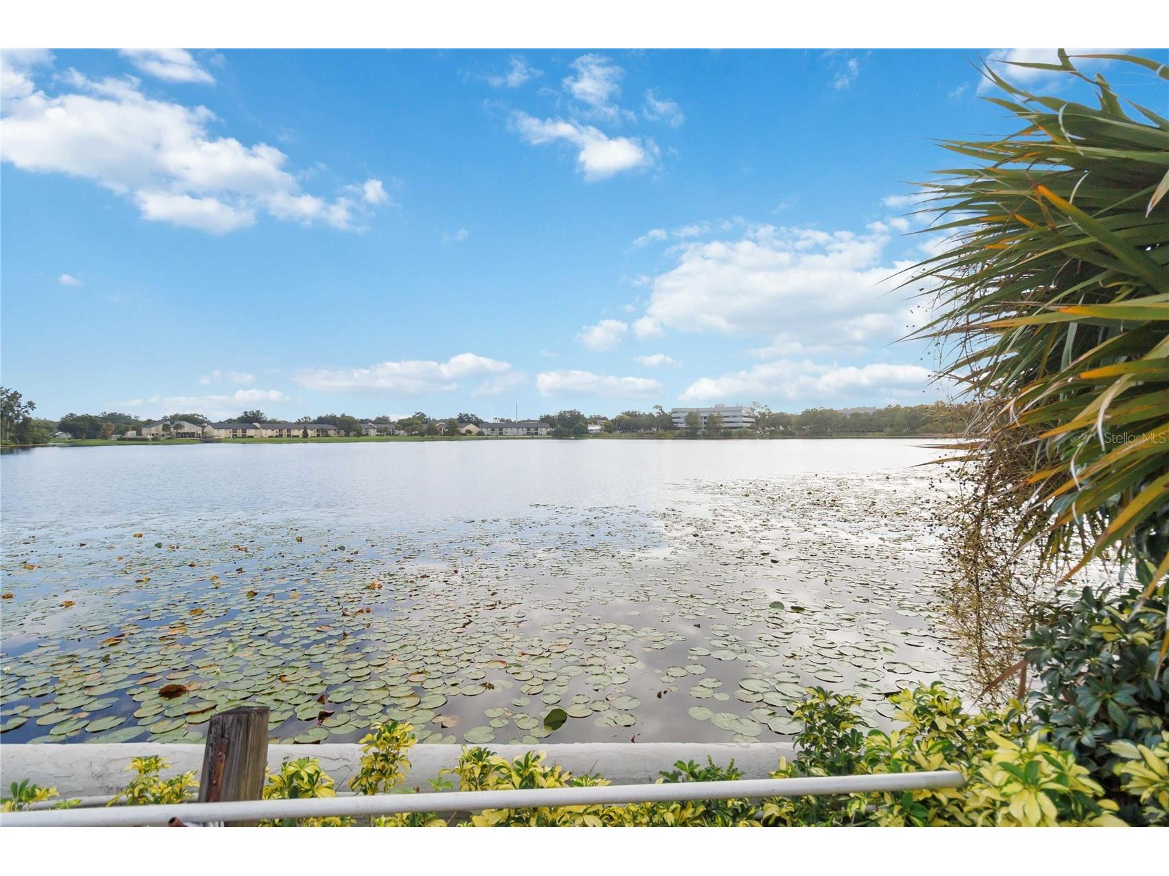 1000 Winderley Place #239 Maitland FL 32751 O6349726 image44