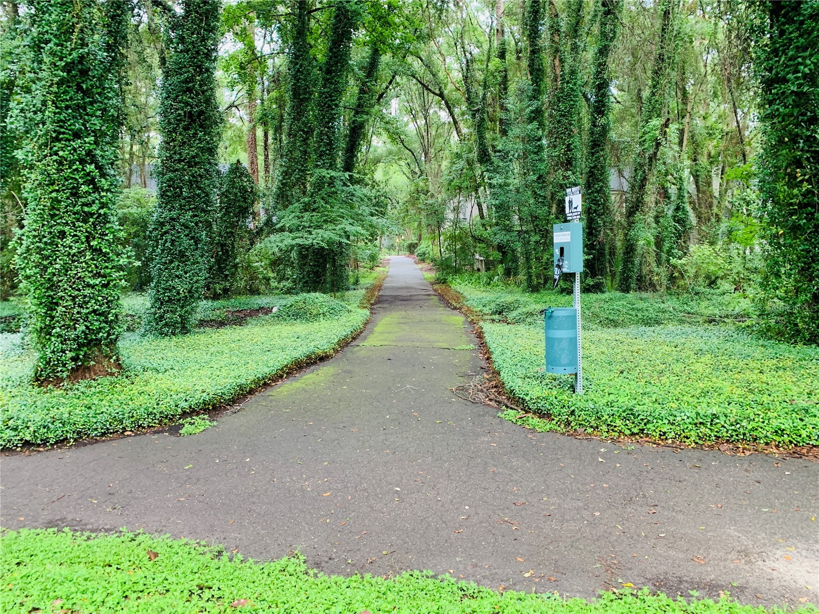 10000 SW 52nd Avenue #60 Gainesville FL 32608 GC536412 image36