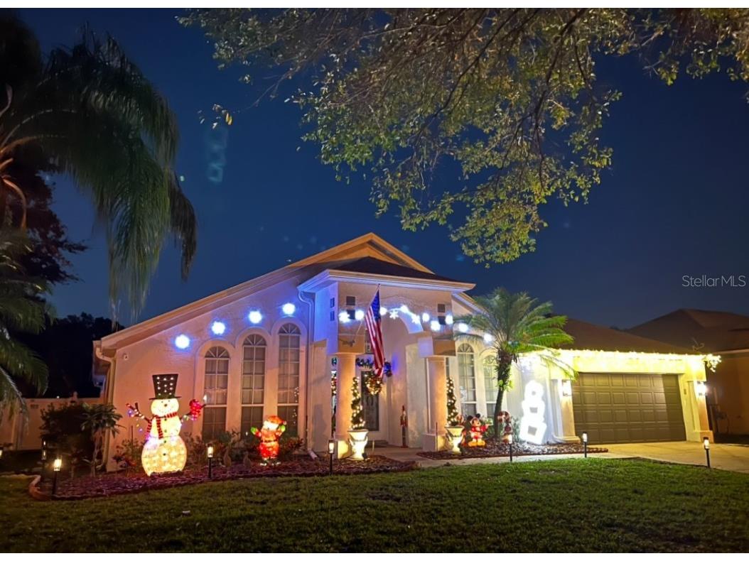 10001 Newington Drive Orlando FL 32836 O6166979 image1