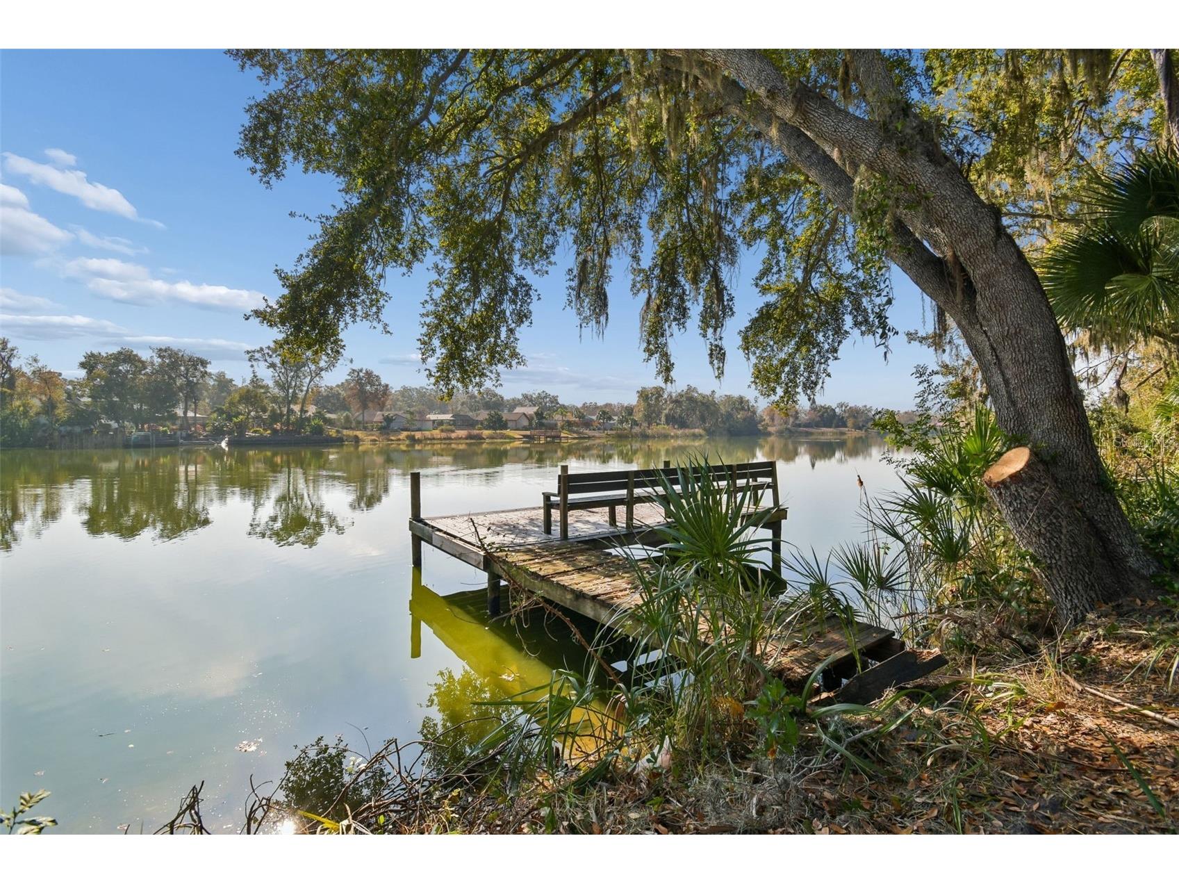 10001 Water Works Lane Riverview FL 33578 - LAKE KENDRA TB8476913 image37