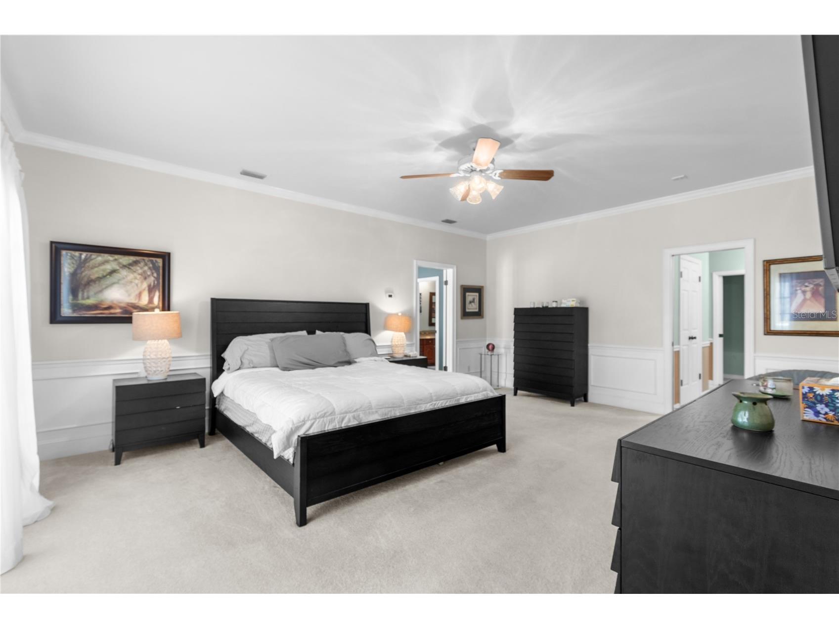 10002 Hunt Cliff Drive Riverview FL 33569 TB8489736 image22