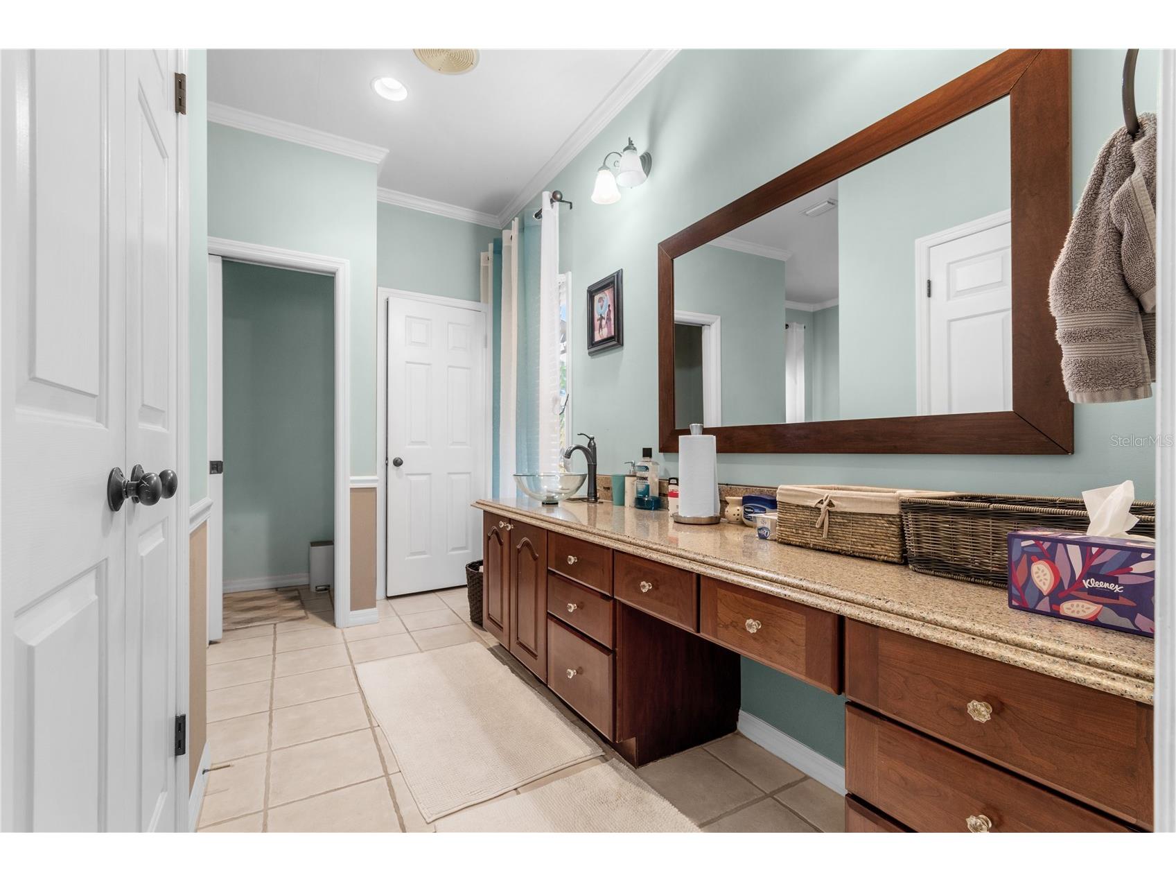 10002 Hunt Cliff Drive Riverview FL 33569 TB8489736 image24