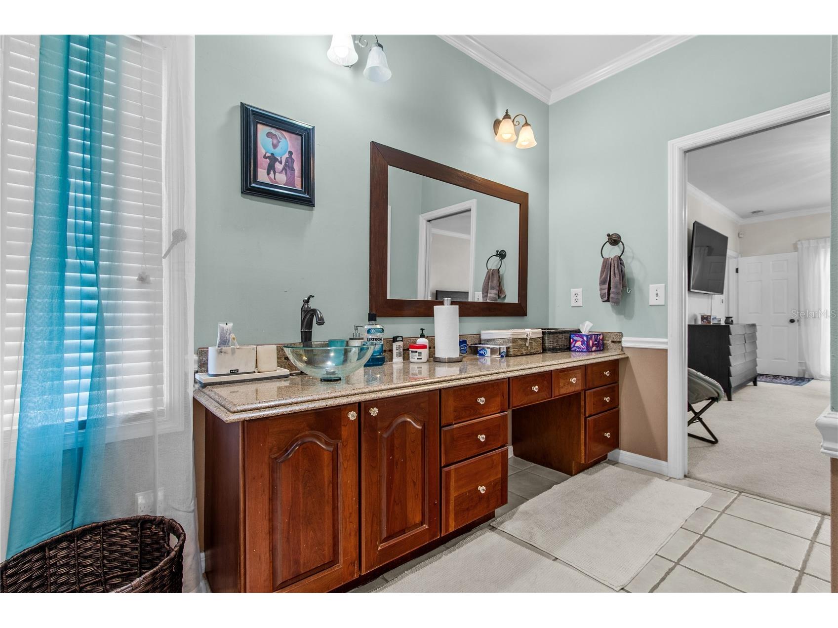 10002 Hunt Cliff Drive Riverview FL 33569 TB8489736 image25