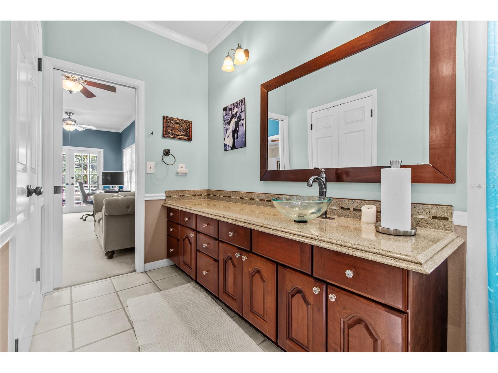 10002 Hunt Cliff Drive Riverview FL 33569 TB8489736 image27