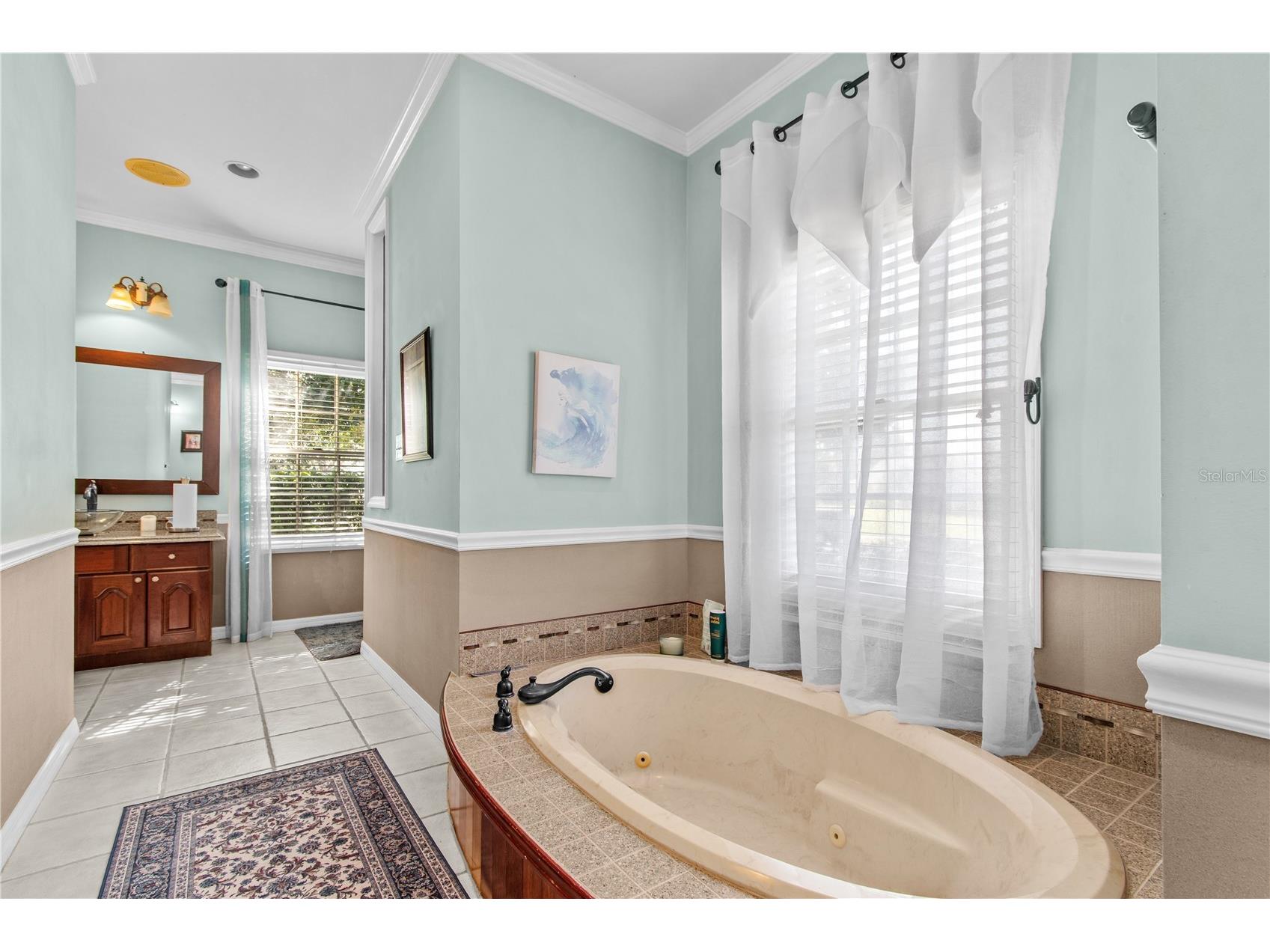10002 Hunt Cliff Drive Riverview FL 33569 TB8489736 image28