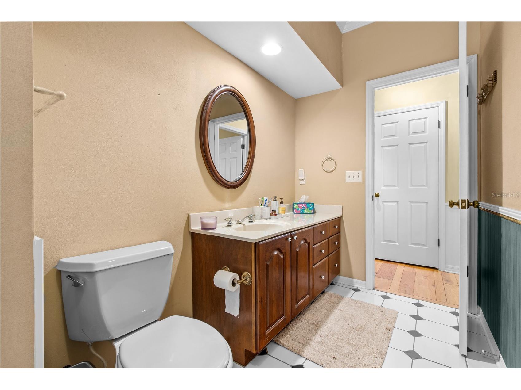 10002 Hunt Cliff Drive Riverview FL 33569 TB8489736 image36