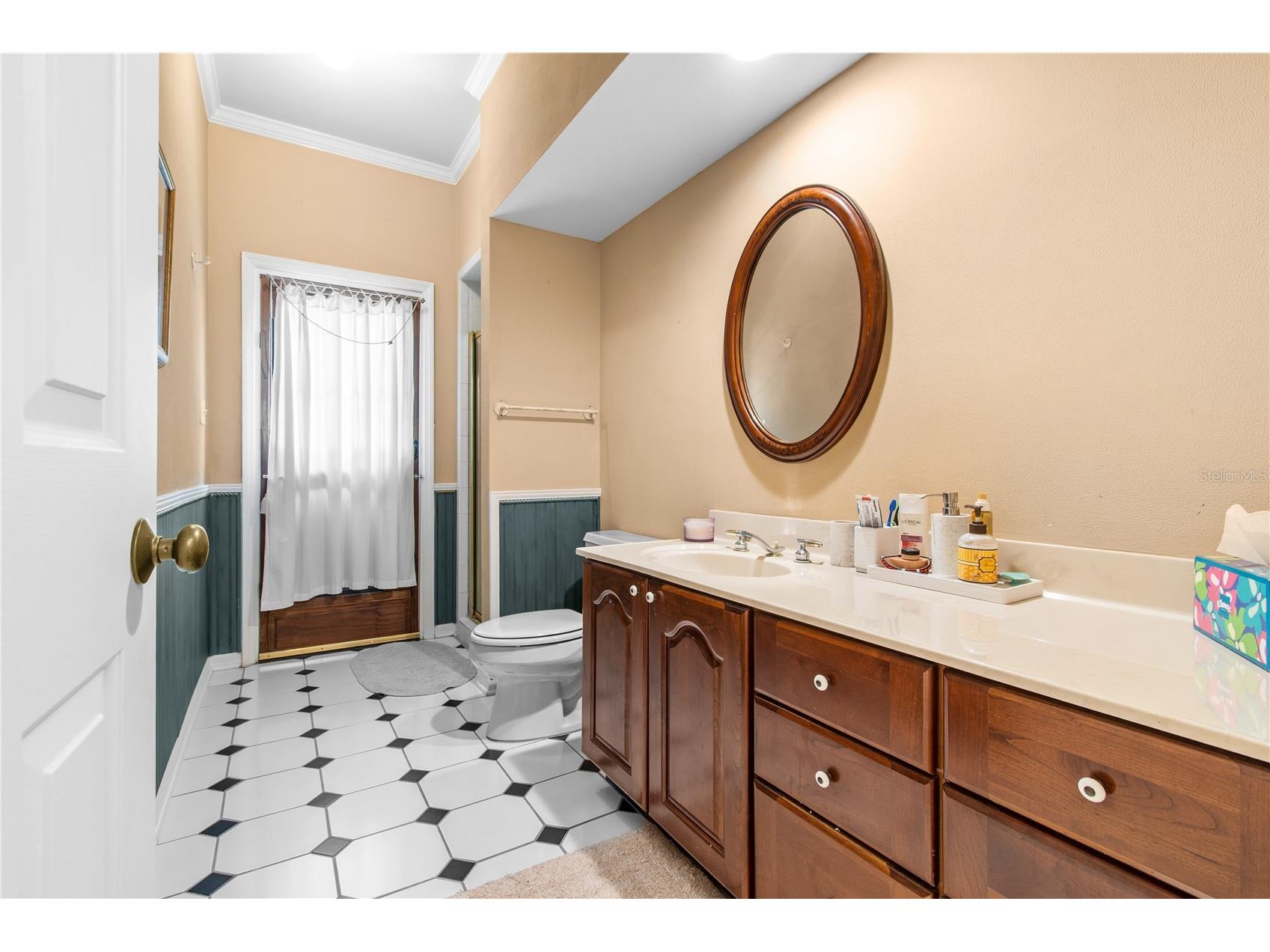 10002 Hunt Cliff Drive Riverview FL 33569 TB8489736 image37