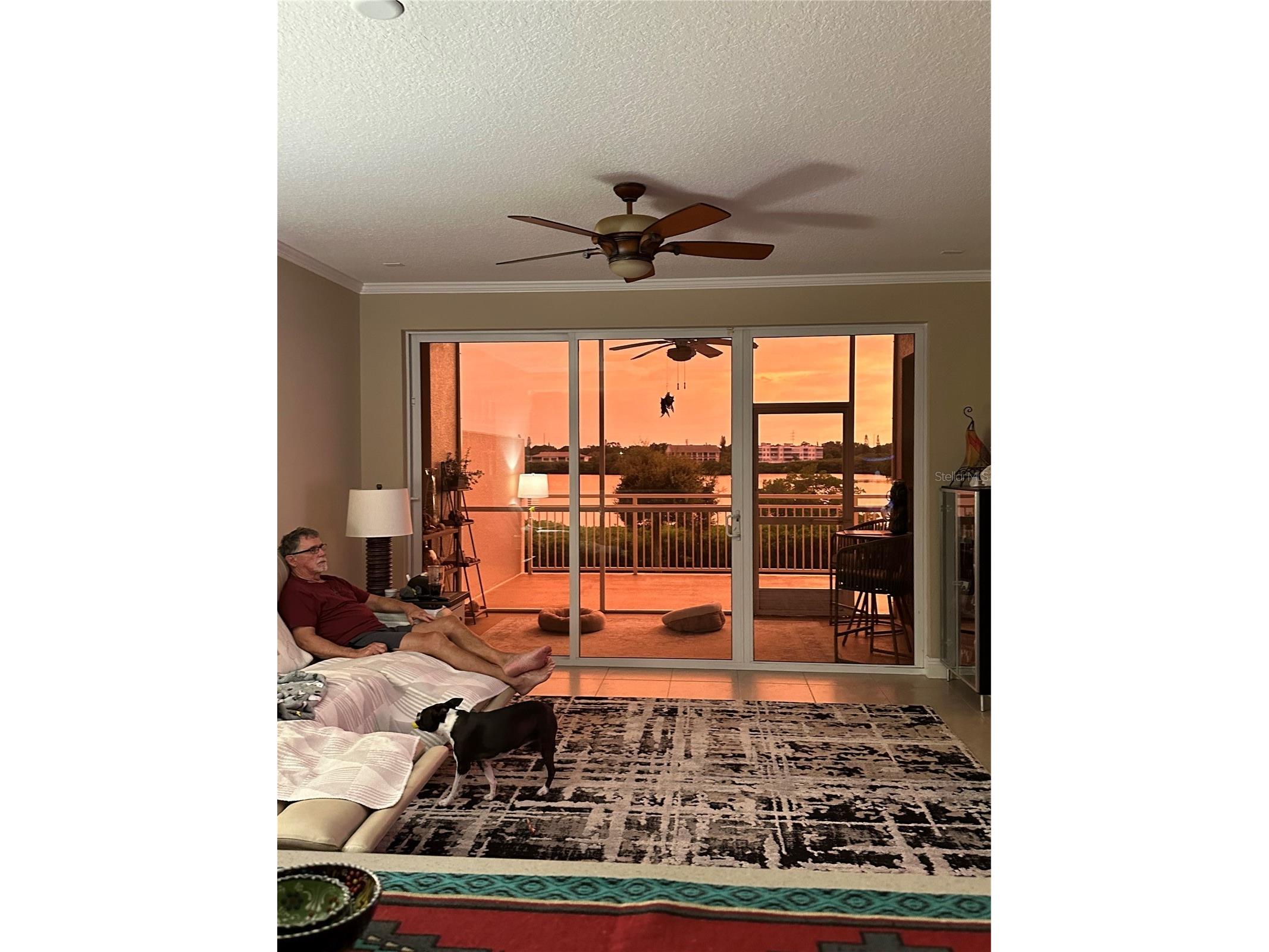 10002 Key Haven Road #204 Seminole FL 33777 TB8518717 image56