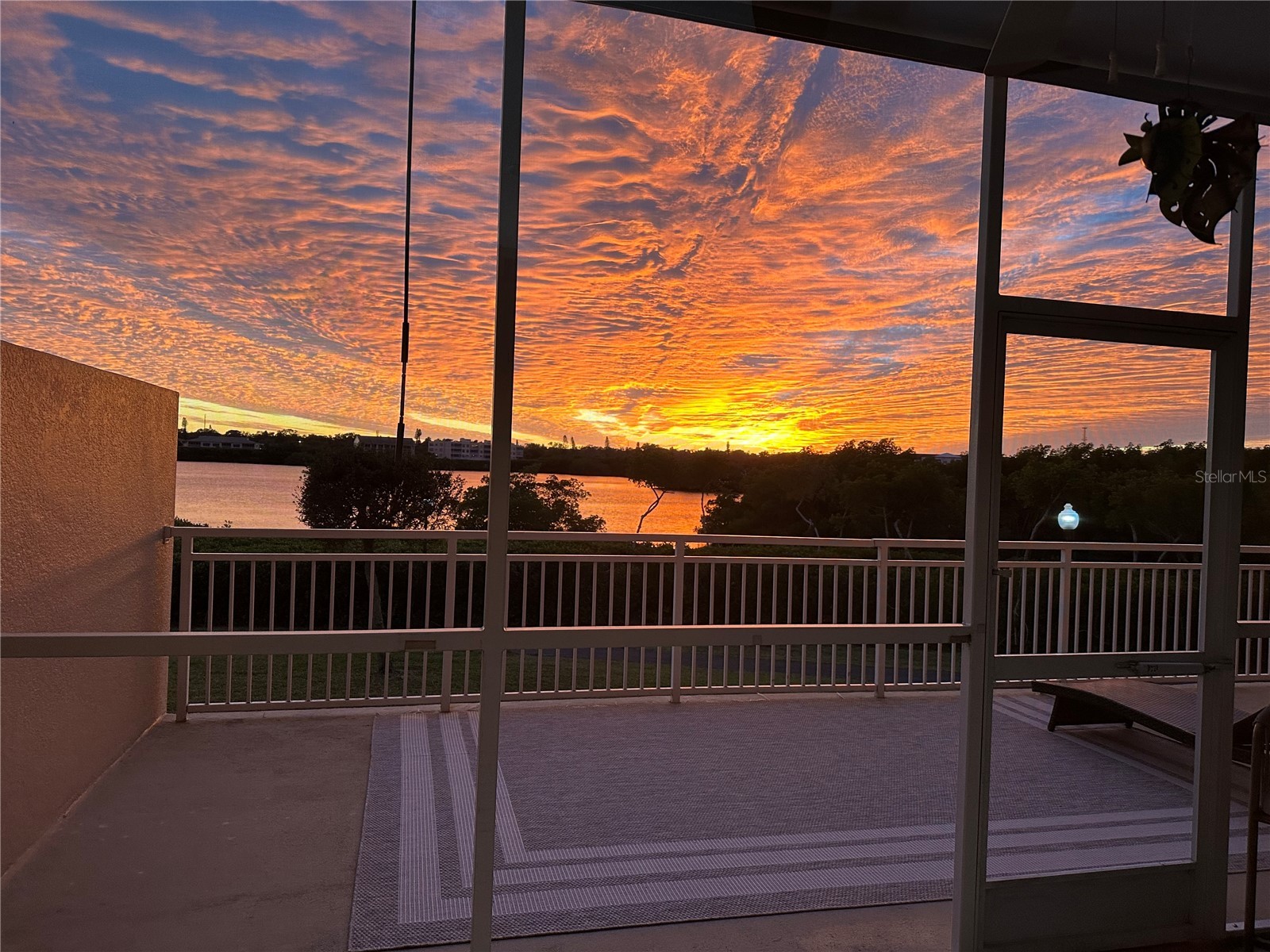 10002 Key Haven Road #204 Seminole FL 33777 TB8518717 image58