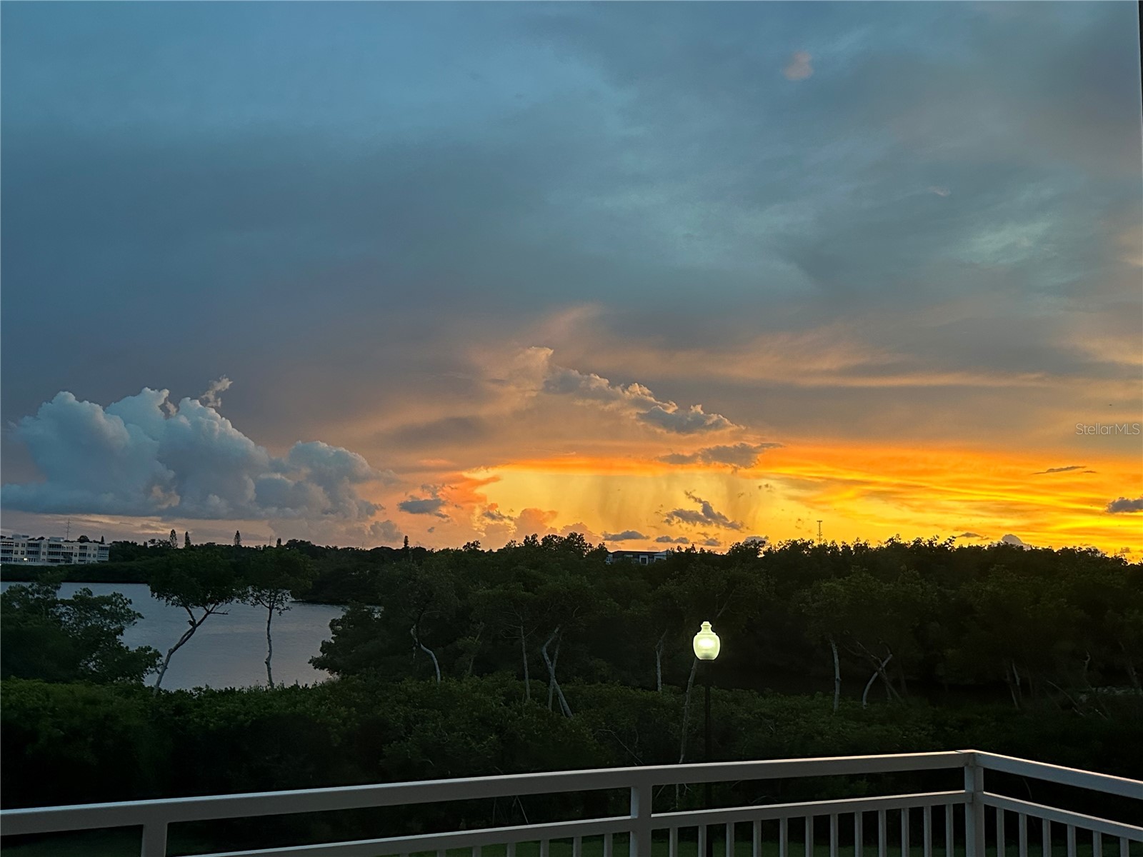10002 Key Haven Road #204 Seminole FL 33777 TB8518717 image60