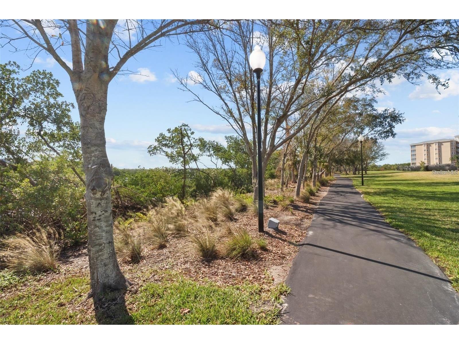 10002 Key Haven Road #204 Seminole FL 33777 TB8518717 image70