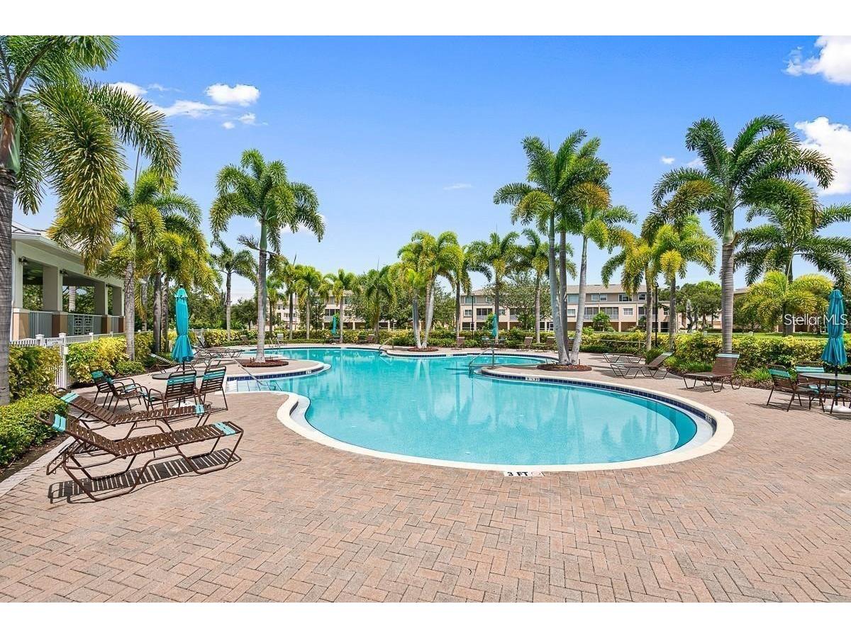 10002 Key Haven Road #204 Seminole FL 33777 TB8518717 image71