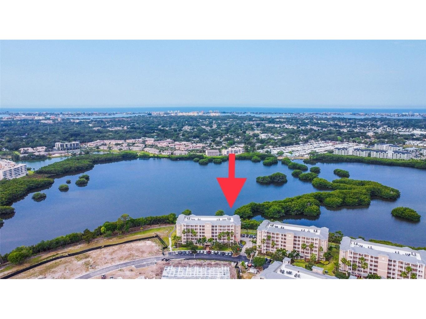 10002 Key Haven Road #206 Seminole FL 33777 U8198680 image1