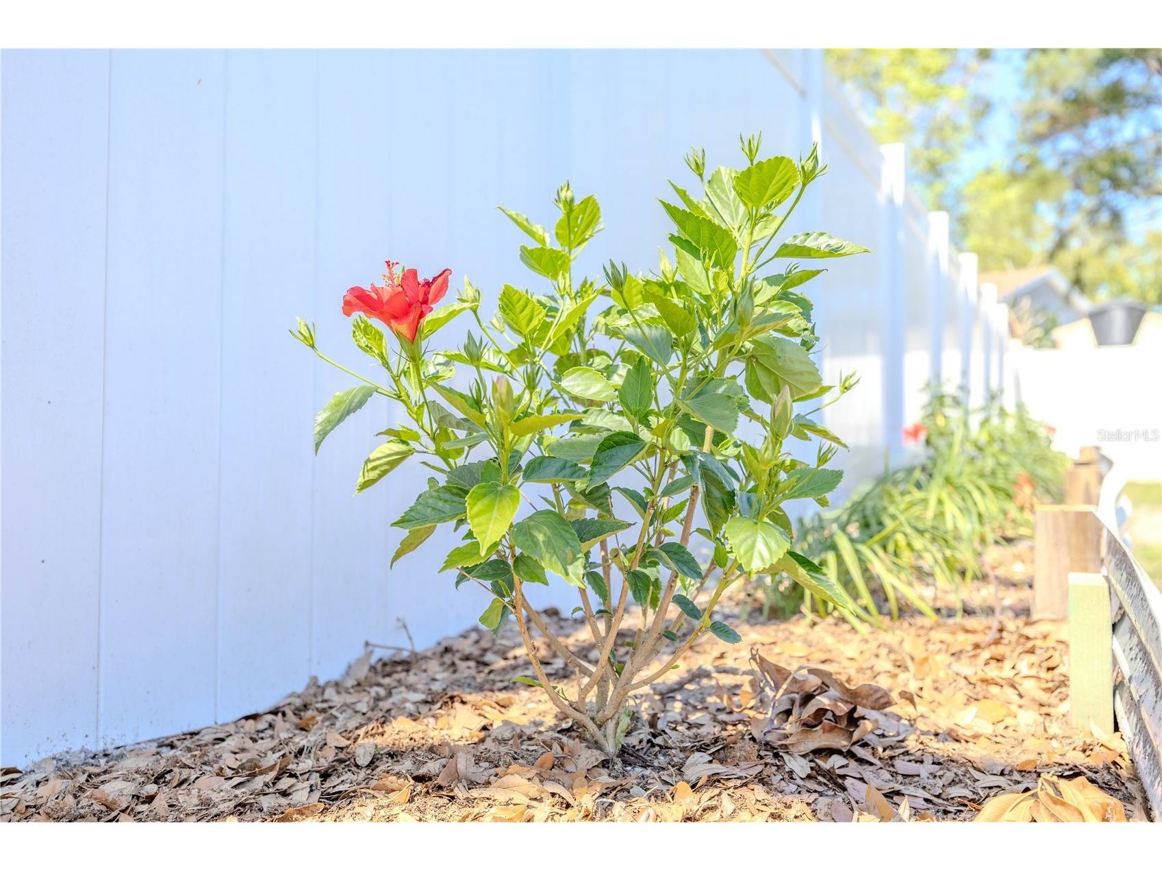 10002 Oakengate Place Tampa FL 33624 TB8490437 image31