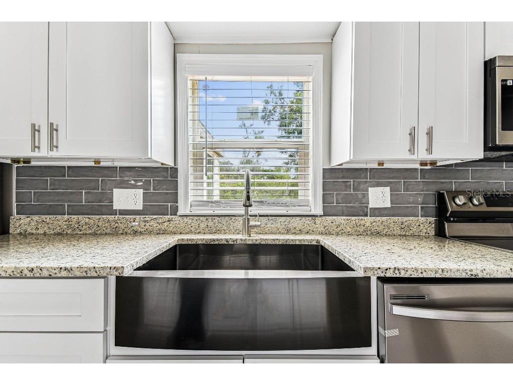 10003 Benjamin Smith Drive Thonotosassa FL 33592 TB8421236 image20