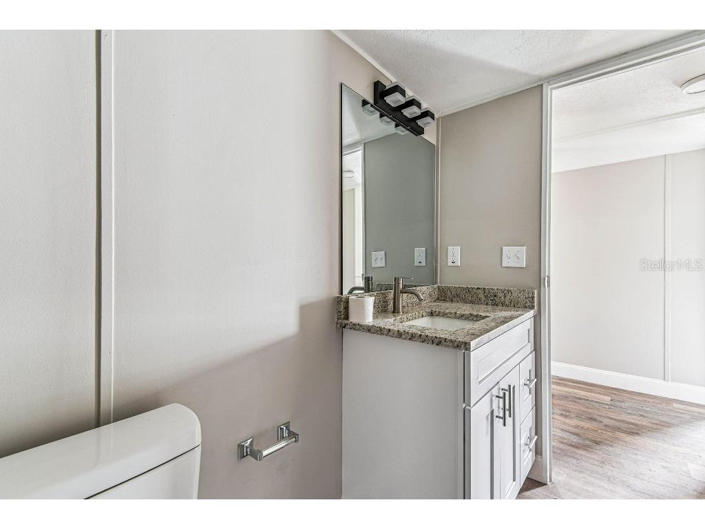 10003 Benjamin Smith Drive Thonotosassa FL 33592 TB8421236 image38