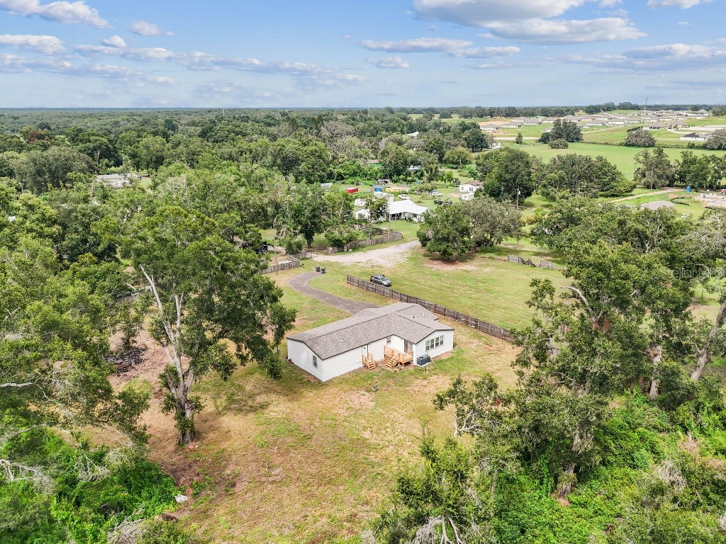 10003 Benjamin Smith Drive Thonotosassa FL 33592 TB8421236 image67