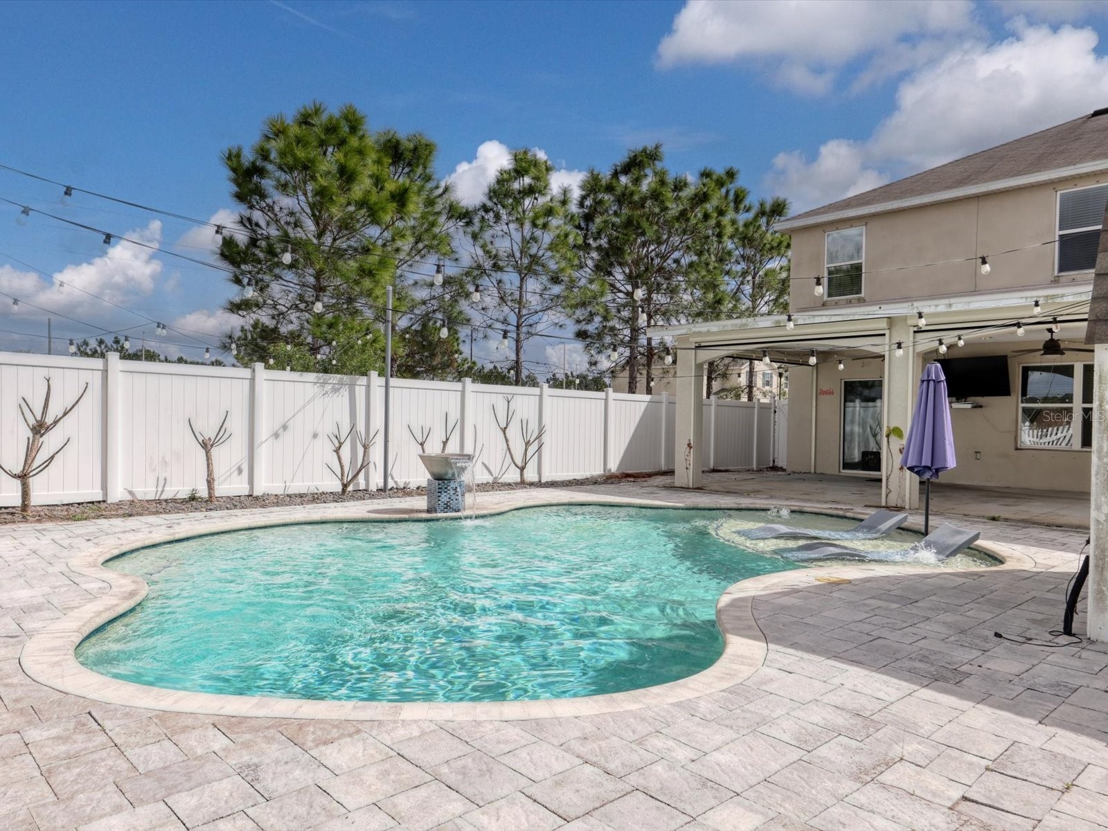 10003 Geese Trail Circle Sun City Center FL 33573 A4685890 image46