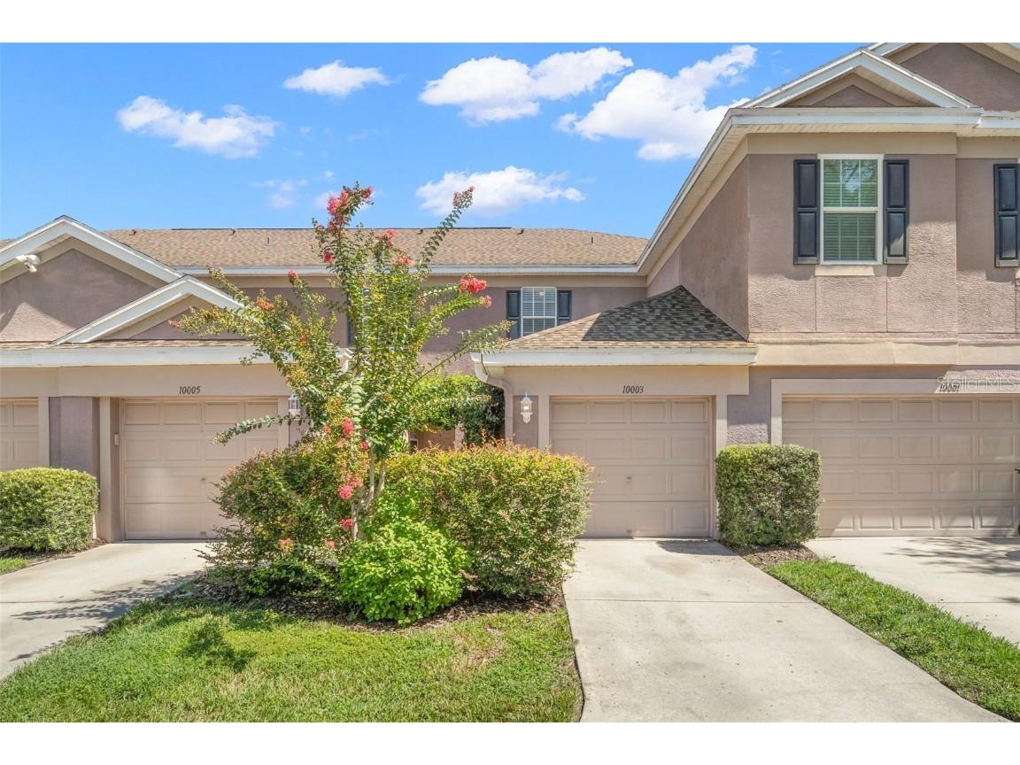 10003 Tranquility Way Tampa FL 33625 - CYPRESS COVE POND T3465098 image1