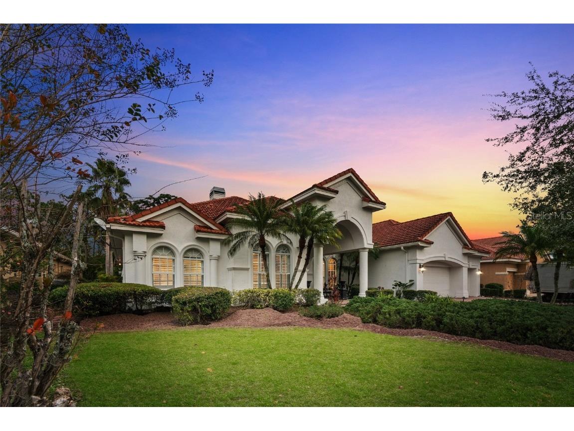 10003 Tree Tops Lake Road Tampa FL 33626 T3492773 image1