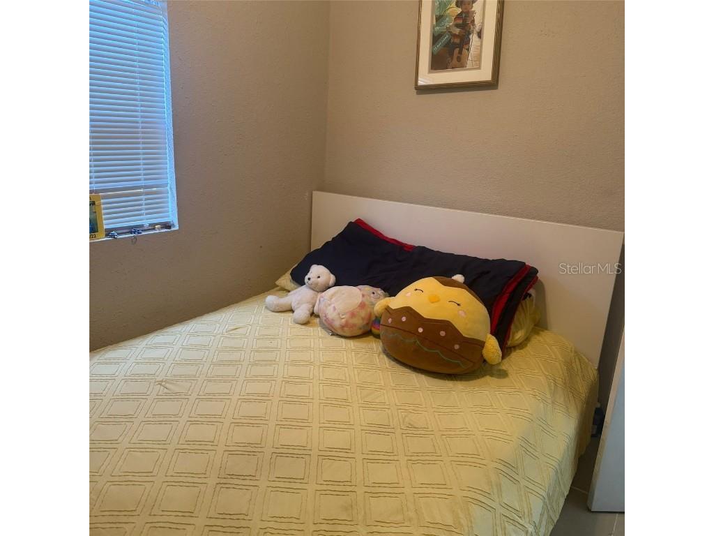 10004 Ethel Street Gibsonton FL 33534 TB8406212 image15