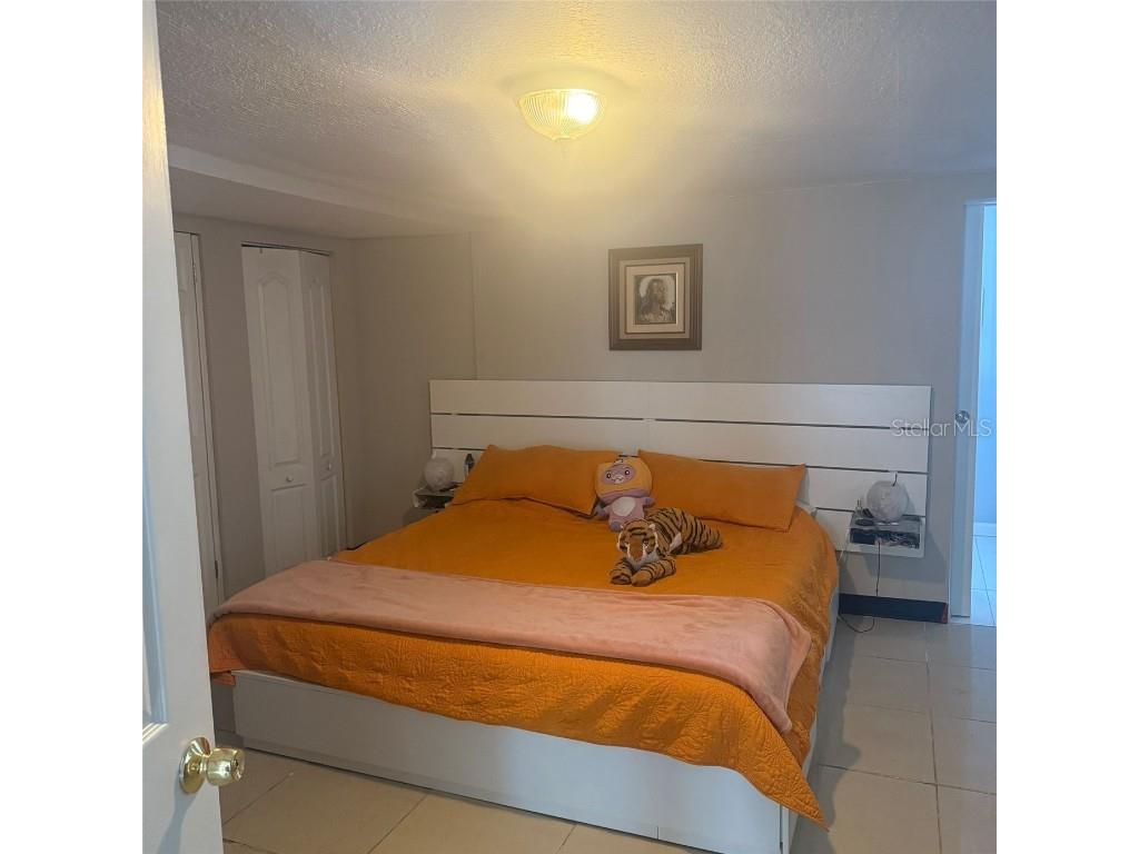 10004 Ethel Street Gibsonton FL 33534 TB8406212 image9