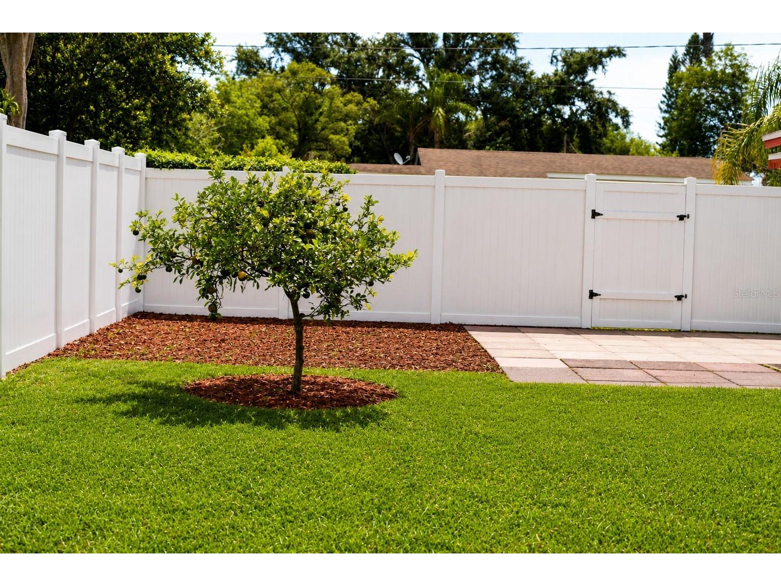 10004 N 23rd Street Tampa FL 33612 W7884291 image24