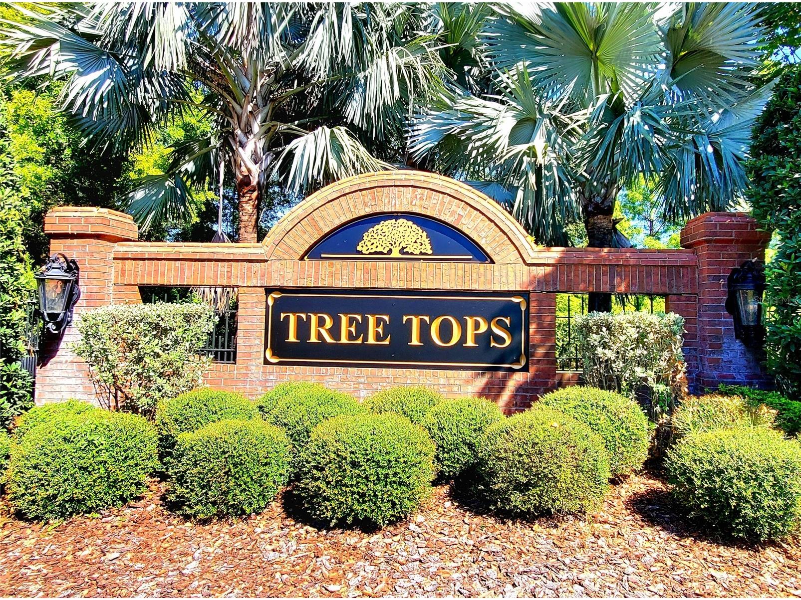 10004 Tree Tops Lake Road Tampa FL 33626 - TREE TOPS LAKE TB8474861 image2