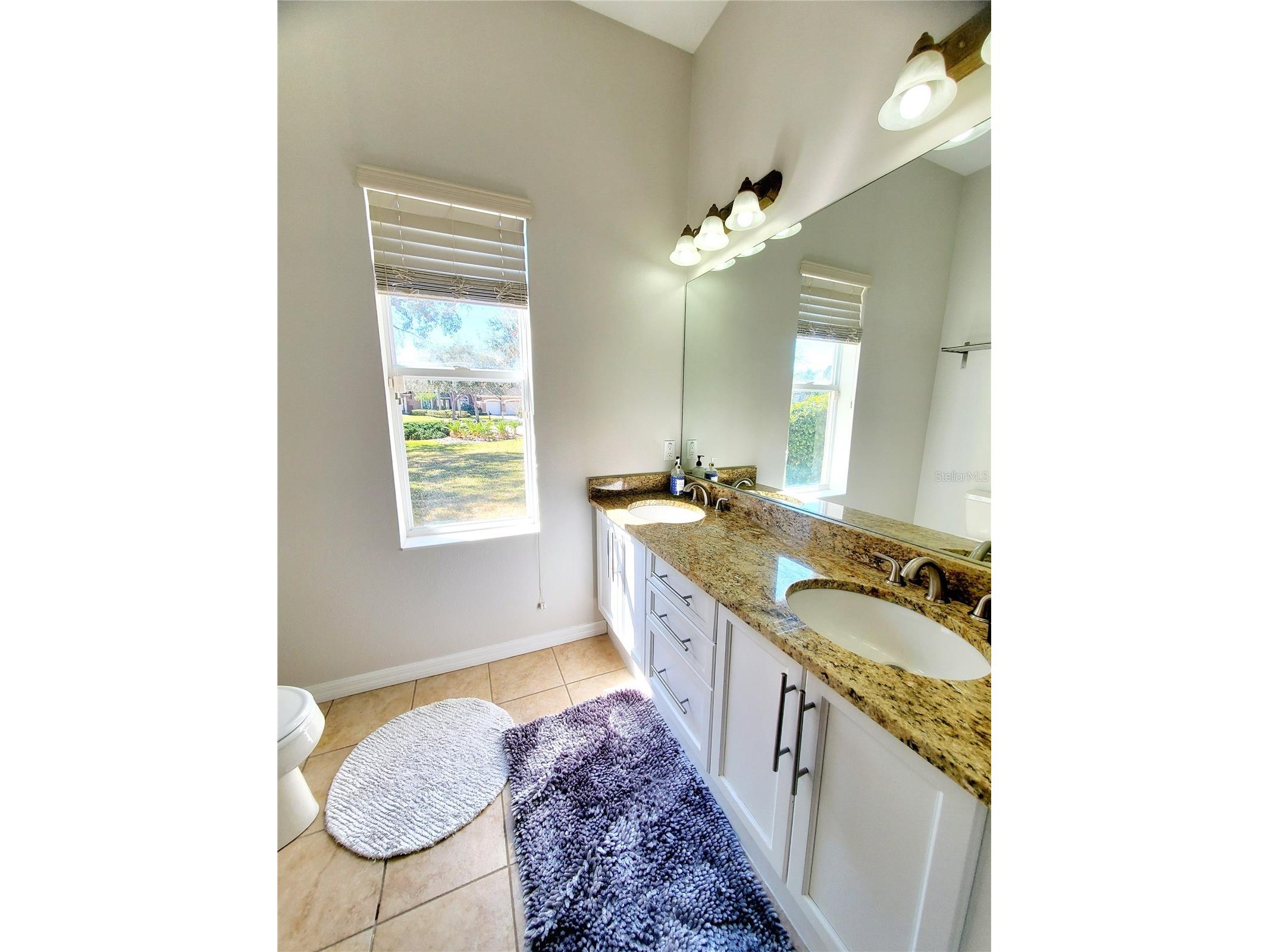 10004 Tree Tops Lake Road Tampa FL 33626 - TREE TOPS LAKE TB8474861 image37