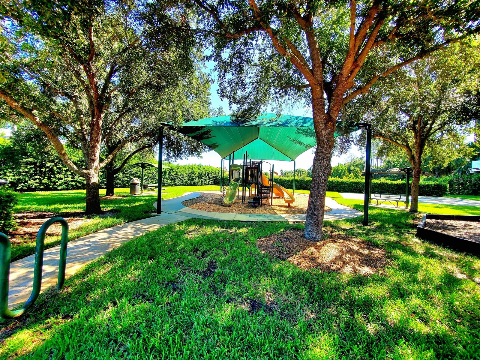 10004 Tree Tops Lake Road Tampa FL 33626 - TREE TOPS LAKE TB8474861 image69