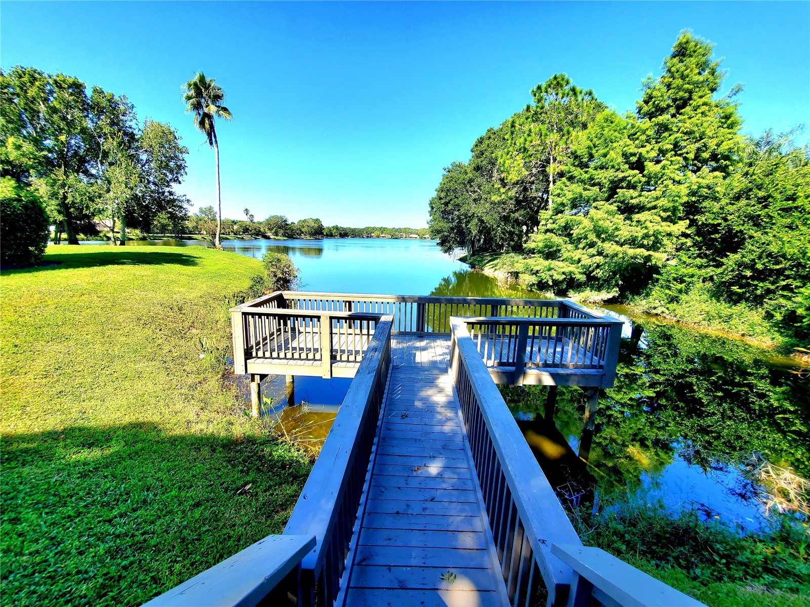 10004 Tree Tops Lake Road Tampa FL 33626 - TREE TOPS LAKE TB8474861 image70