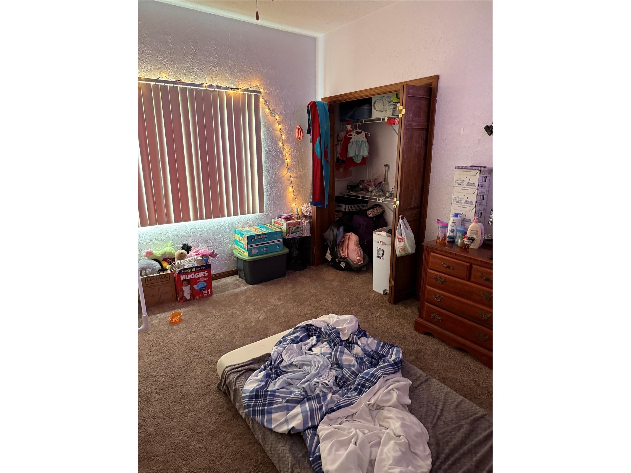 10005 Hunt Cliff Drive Riverview FL 33569 TB8522300 image12