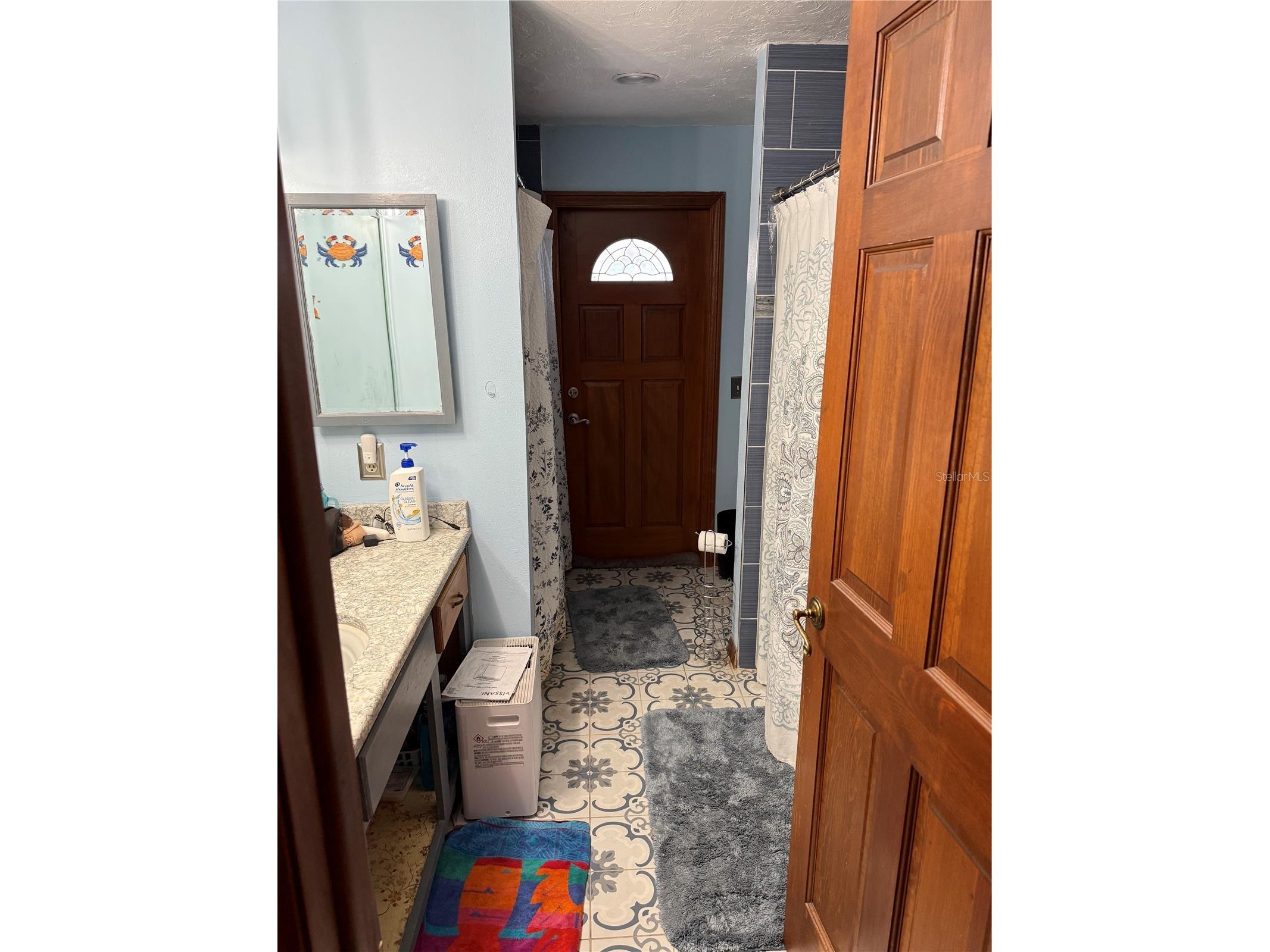 10005 Hunt Cliff Drive Riverview FL 33569 TB8522300 image13