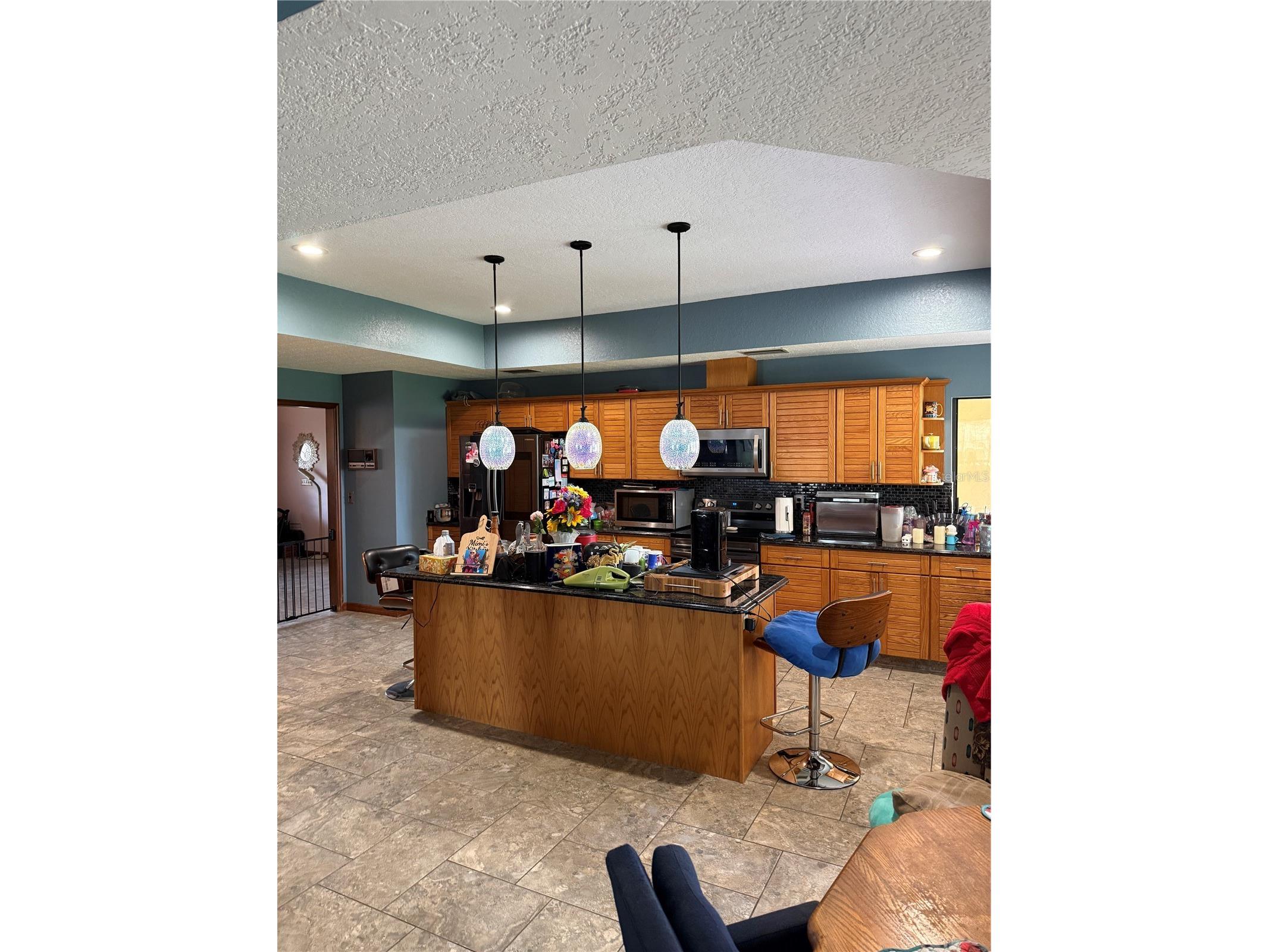10005 Hunt Cliff Drive Riverview FL 33569 TB8522300 image5