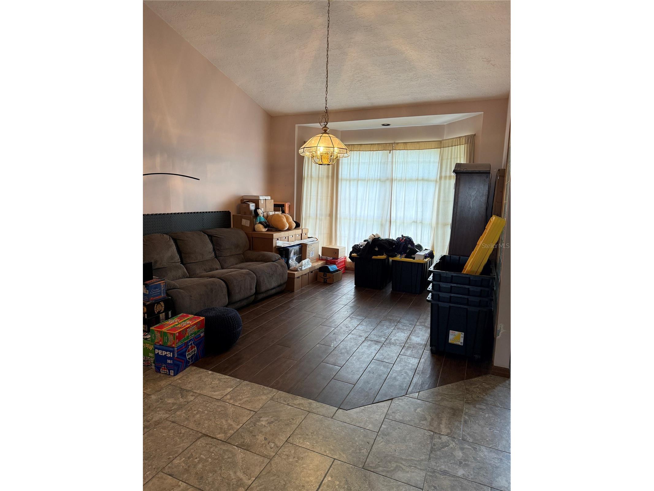 10005 Hunt Cliff Drive Riverview FL 33569 TB8522300 image7