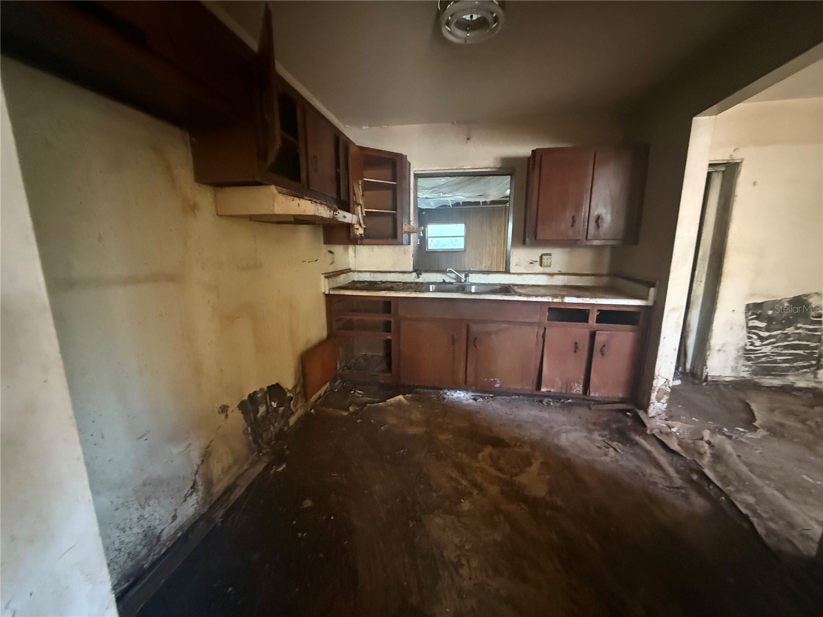 10005 N 29th Street Tampa FL 33612 TB8466990 image5