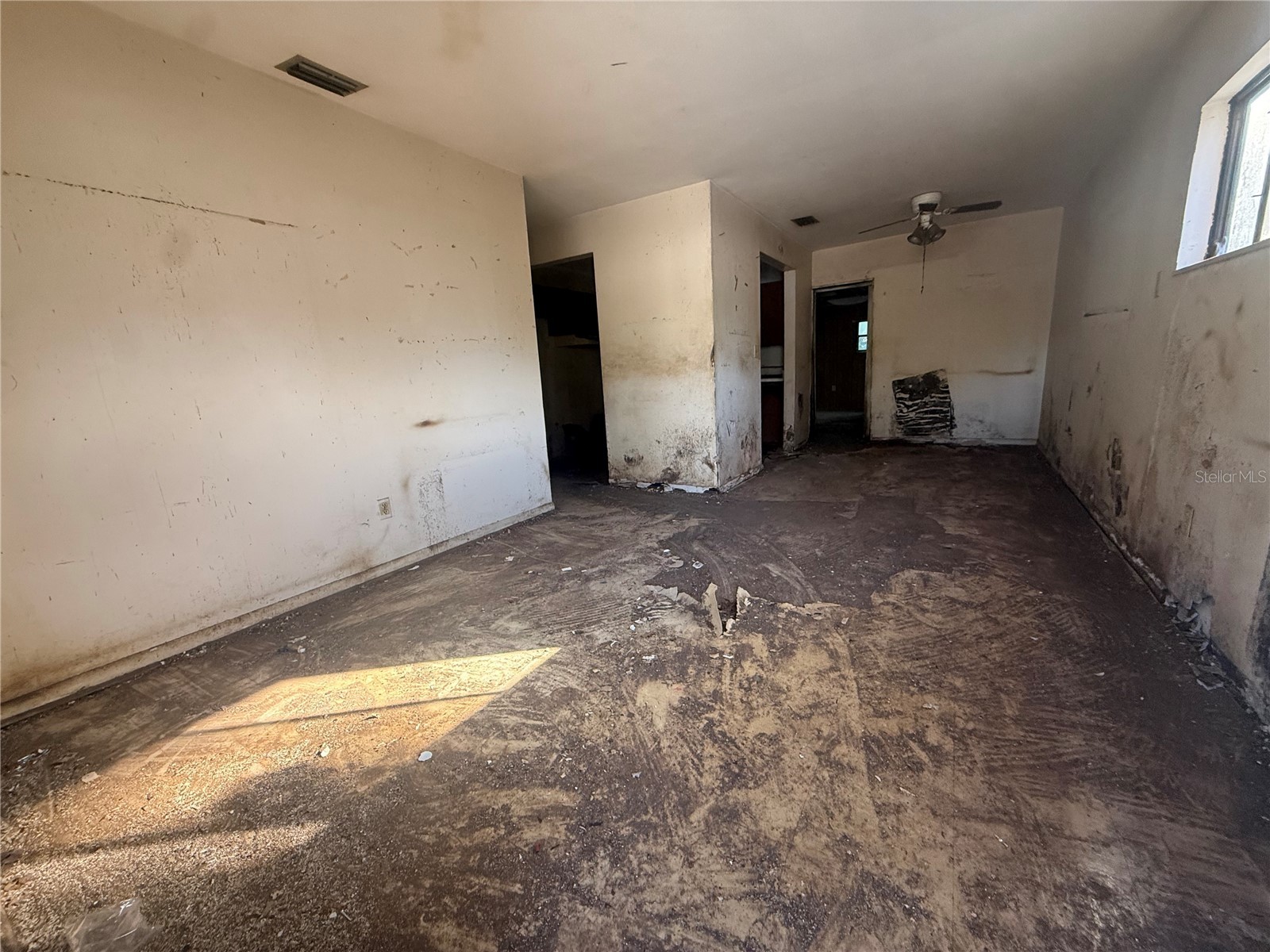 10005 N 29th Street Tampa FL 33612 TB8466990 image6