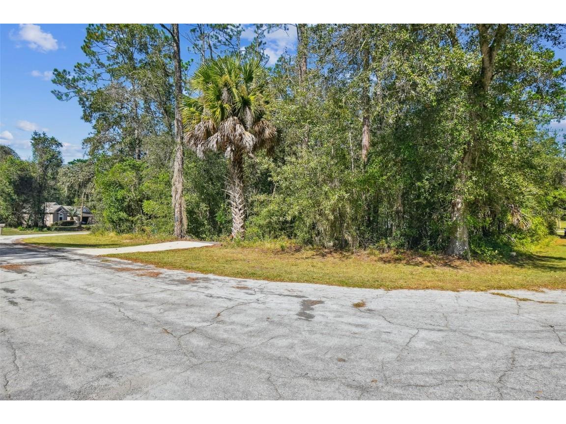 10005 N Ocean Drive Citrus Springs FL 34434 TB8435237 image47