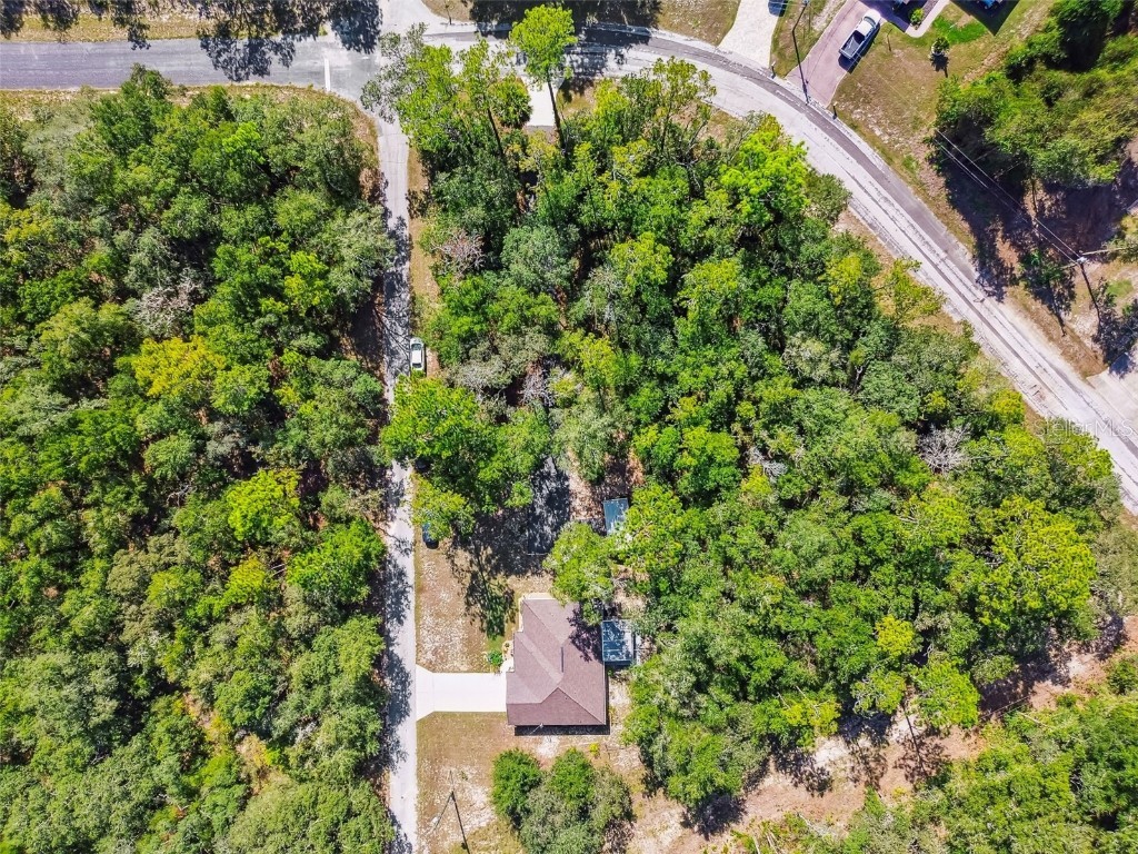 10005 N Ocean Drive Citrus Springs FL 34434 TB8435237 image64