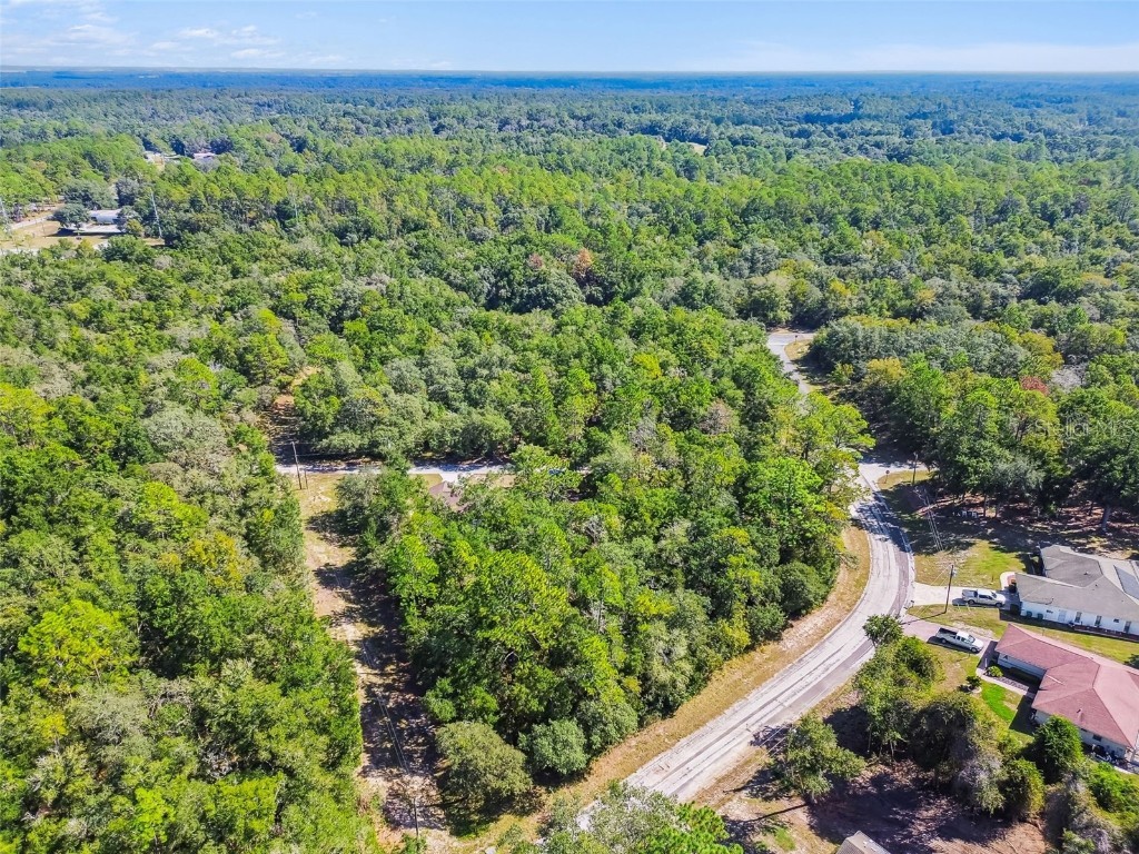 10005 N Ocean Drive Citrus Springs FL 34434 TB8435237 image66