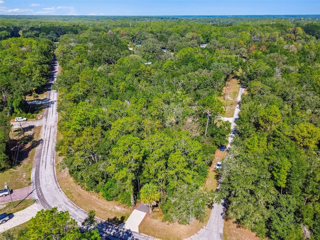 10005 N Ocean Drive Citrus Springs FL 34434 TB8435237 image69