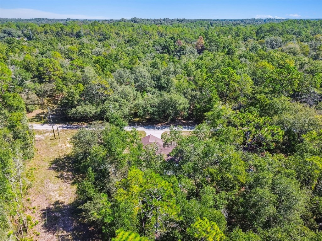 10005 N Ocean Drive Citrus Springs FL 34434 TB8435237 image70