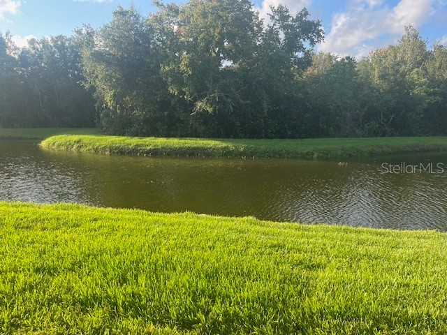 10005 Tranquility Way Tampa FL 33625 FC313840 image10