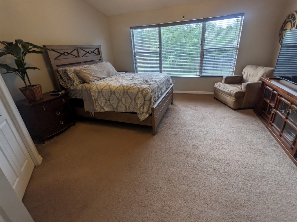 10005 Tranquility Way Tampa FL 33625 FC313840 image18